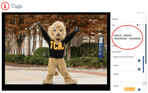 Full view of Canto photo options